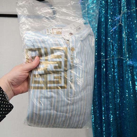 NWT & Bag Emily McCarthy Lolli Top Blouse $180 MSRP Blue Metallic Stripe Size S - Picture 4 of 13